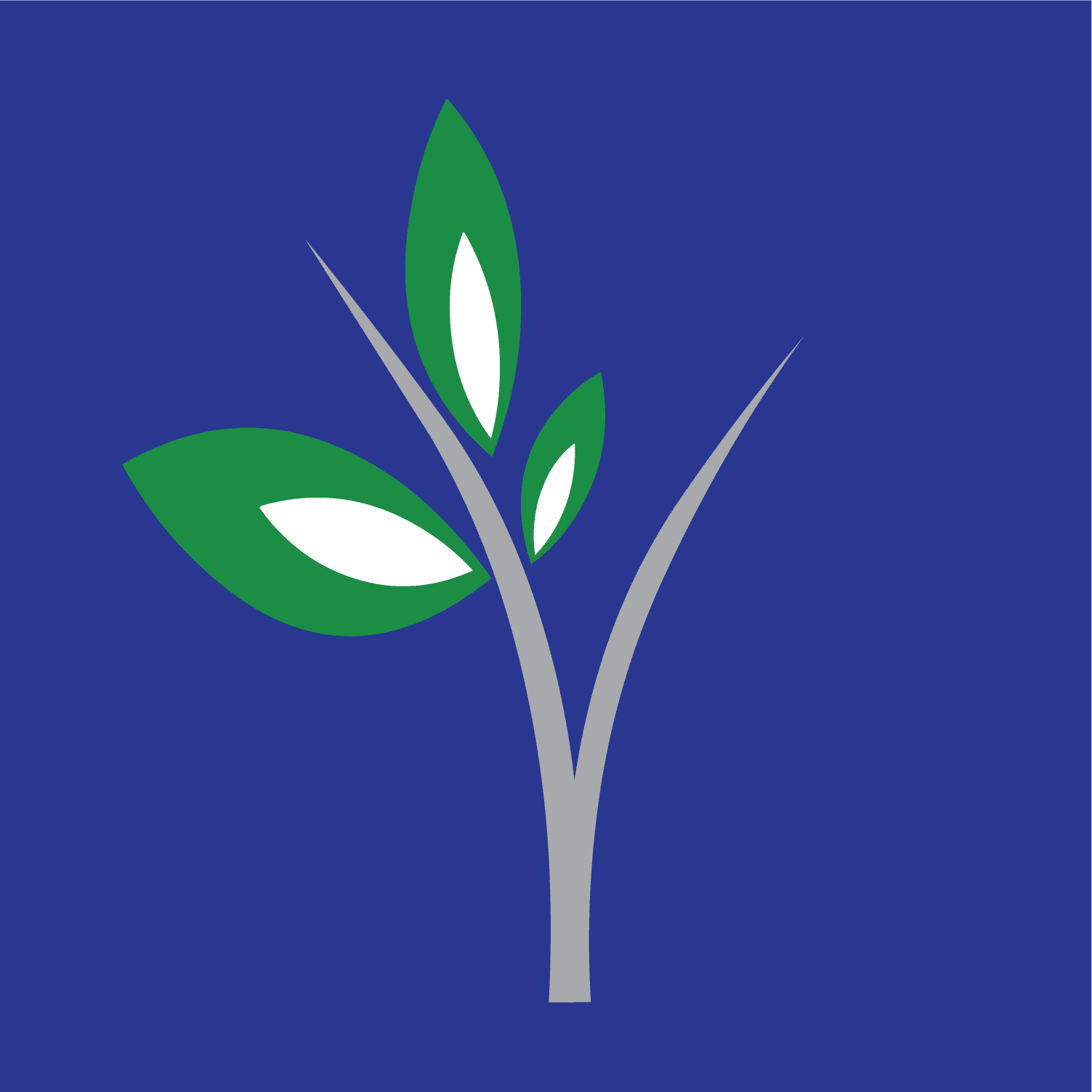 resolute pt growth icon